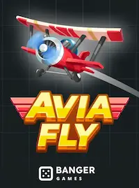 Avia Fly crash at AA880 COM